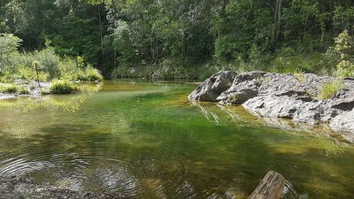Booloumba Creek in the Conondale Ranges